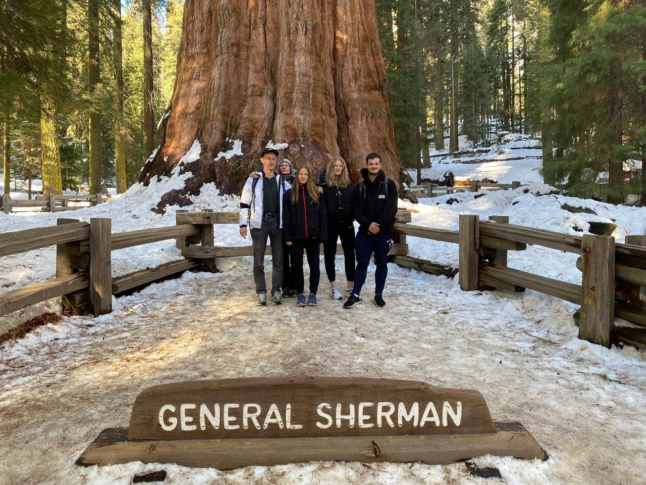 General Sherman photo